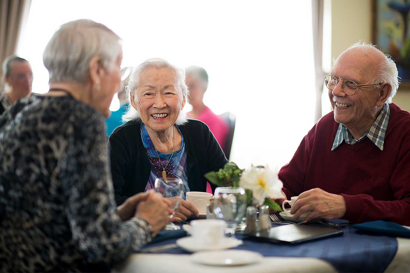 Дом престарелых Сток. Gatherings for Seniors.